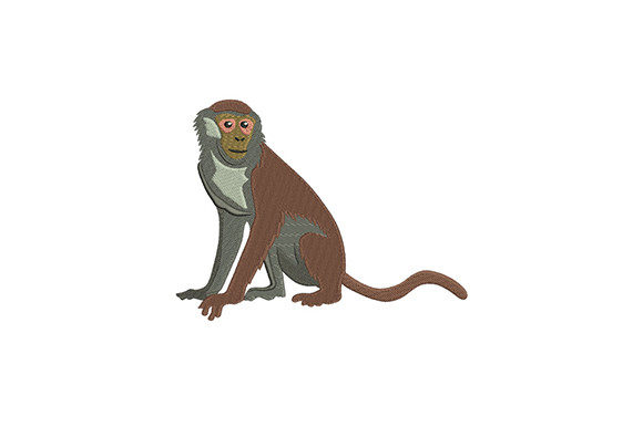 Download Brown Monkey - Monkey Collection